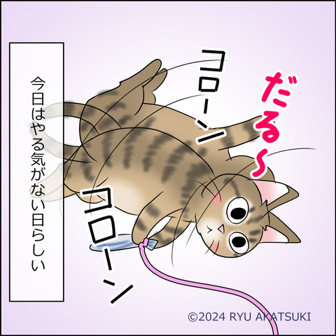 あんこ&麦STORY2070d