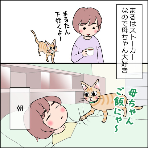 あんこ＆麦STORY1995a