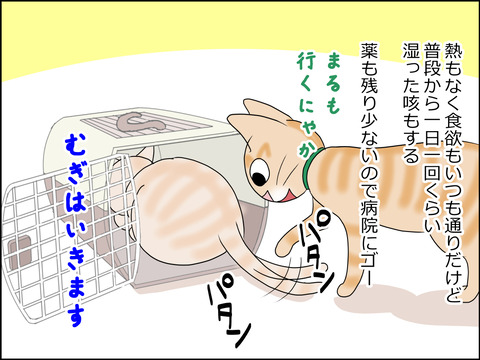 あんこ&麦kenko23c