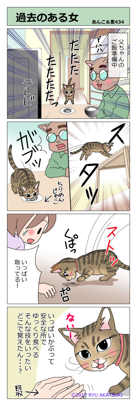 あんこ&麦STORY434