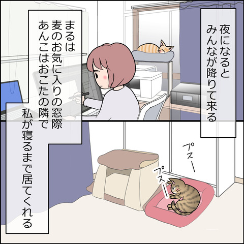 mugitabi028c