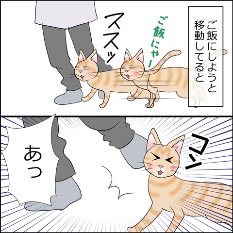 あんこ＆麦STORY2335c