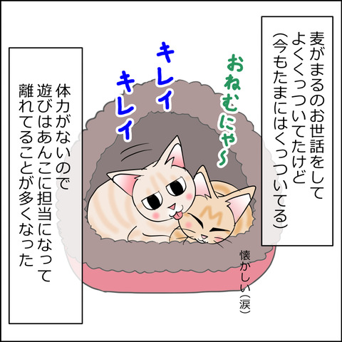 あんこ＆麦STORY2388c