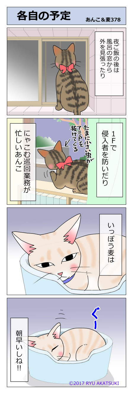 あんこ&麦STORY378