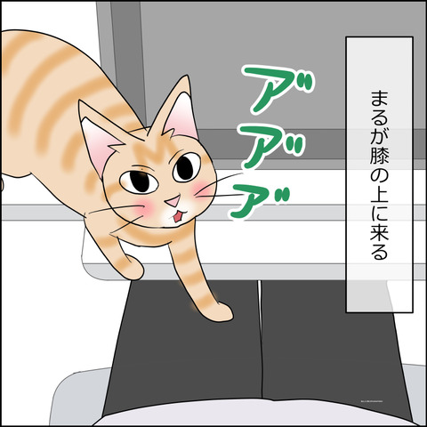 あんこ&麦STORY2441a