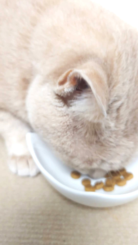 Screenshot_20250705-175028