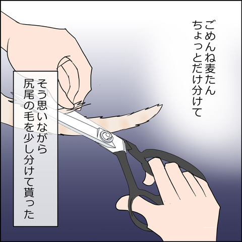 あんこ＆麦STORY2448c