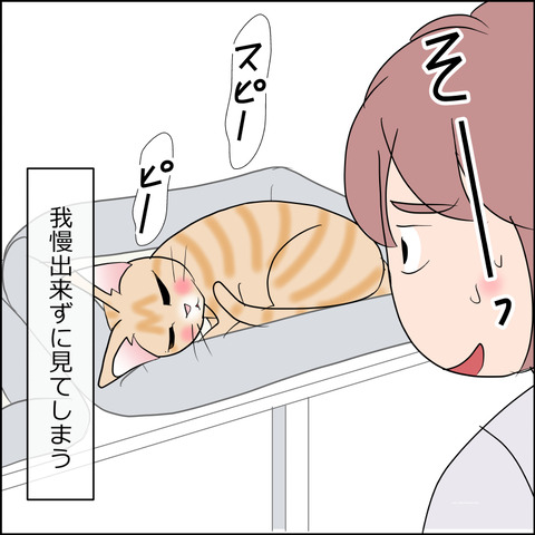 あんこ＆麦STORY2431d