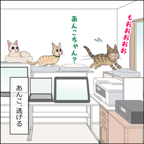 あんこ＆麦STORY2281e