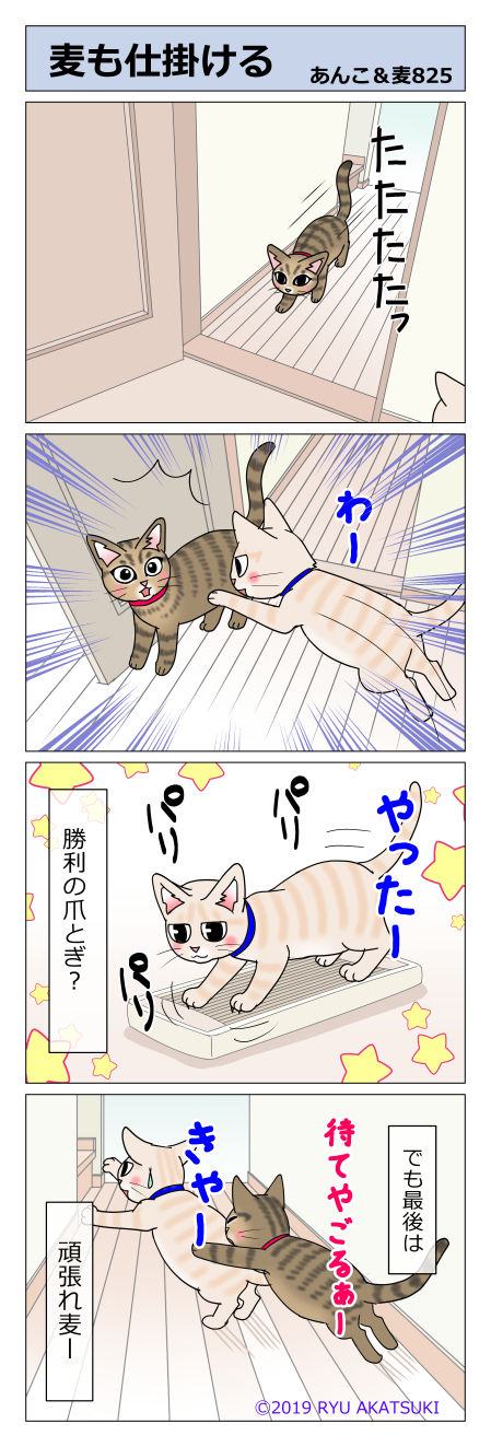 あんこ＆麦STORY825