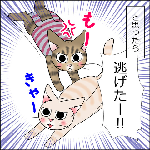 あんこ＆麦STORY1731b