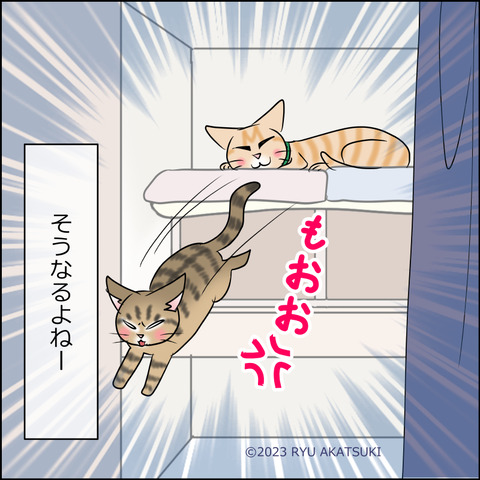 あんこ＆麦STORY1909d