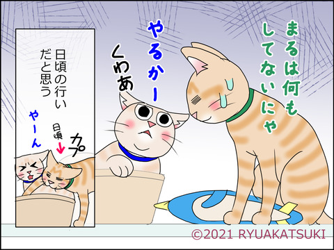 あんこ&麦STORY1430d