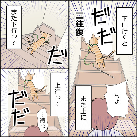 あんこ＆麦STORY2258d