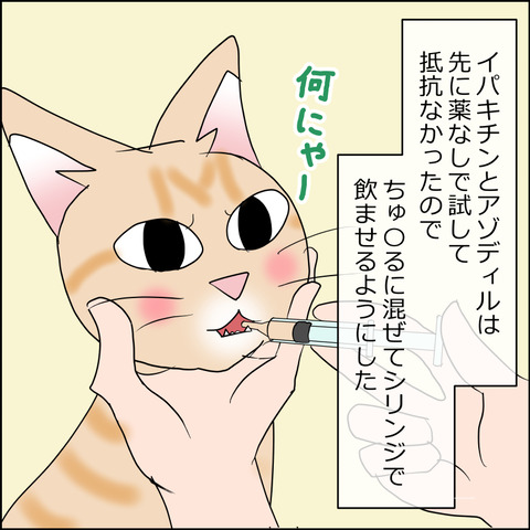 あんこ&麦kenko161b