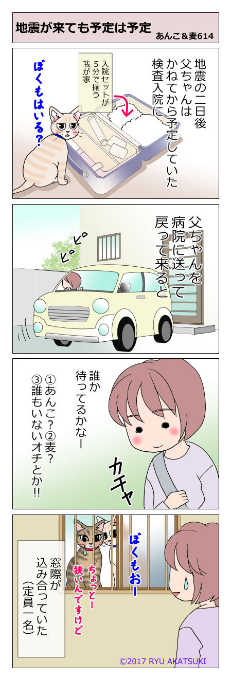 あんこ&麦STORY614