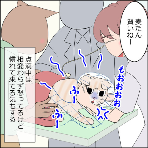 あんこ＆麦kenko130b