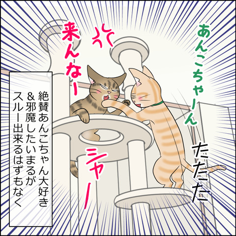 あんこ＆麦STORY2149c