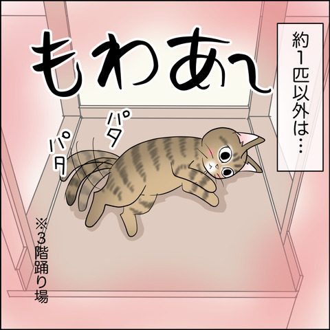 あんこ＆麦STORY2127c