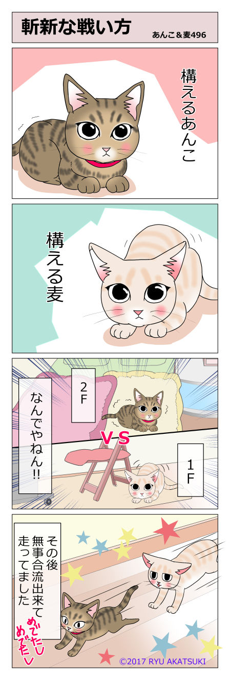 あんこ&麦STORY496