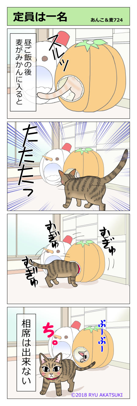 あんこ&麦STORY724