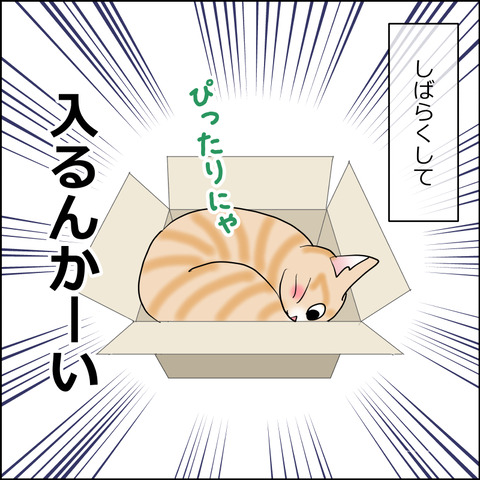 あんこ＆麦STORY2421b