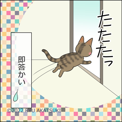 あんこ＆麦STORY1747d