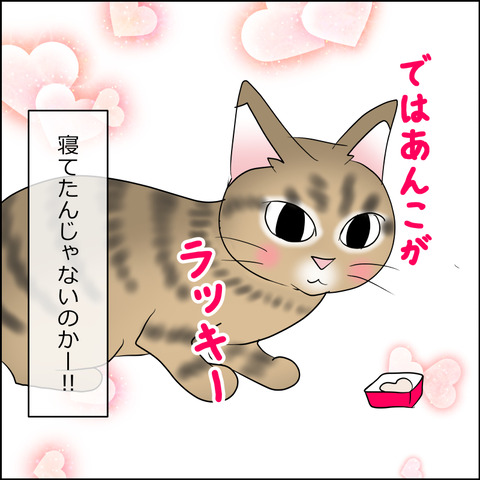 あんこ＆麦STORY2393d