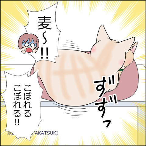 あんこ＆麦STORY1984d