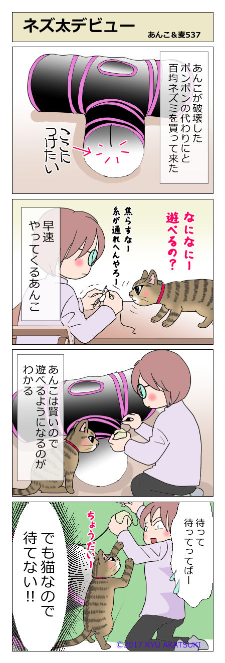 あんこ＆麦STORY537