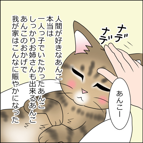 あんこ＆麦STORY1752c