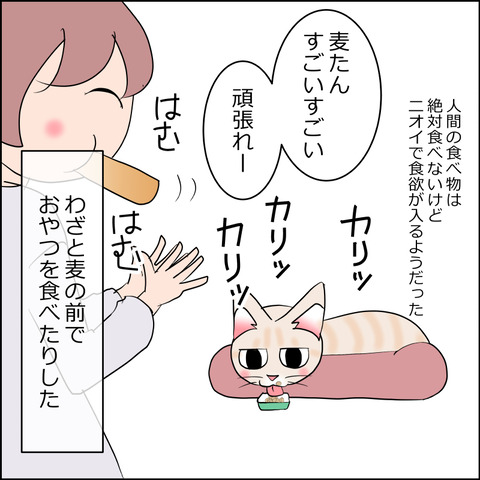 mugitabi010d