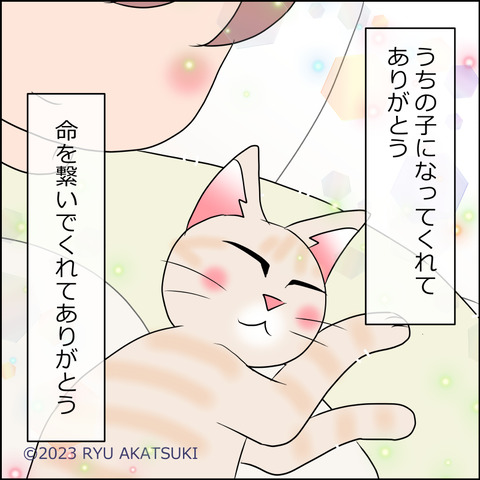 あんこ＆麦STORY1854h