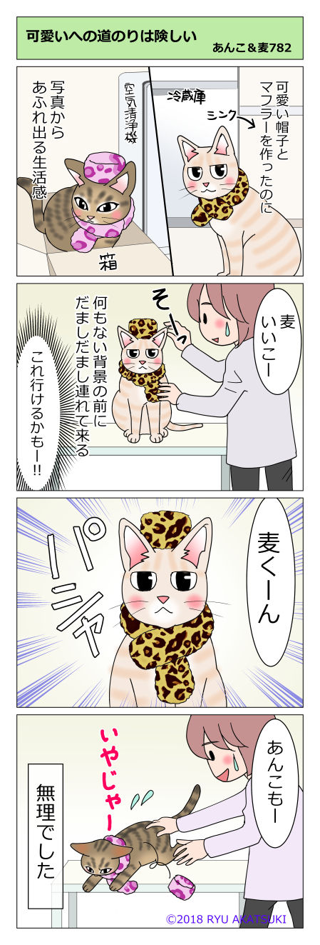 あんこ&麦STORY782