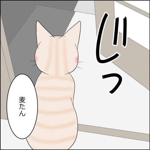 あんこ&麦STORY2342d