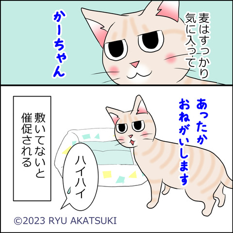 あんこ＆麦STORY1796d