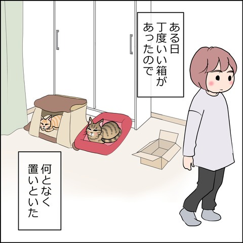 あんこ＆麦STORY2421a