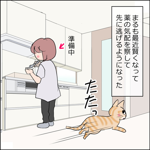 あんこ&麦STORY2489a