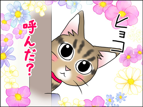 あんこ&麦STORY1631c