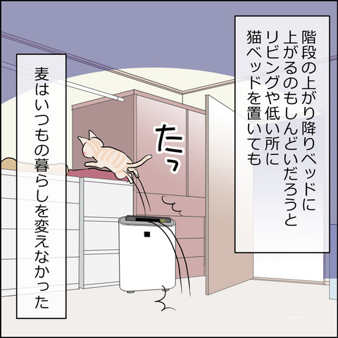 mugitabi019a