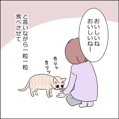 あんこ＆麦kenko76c