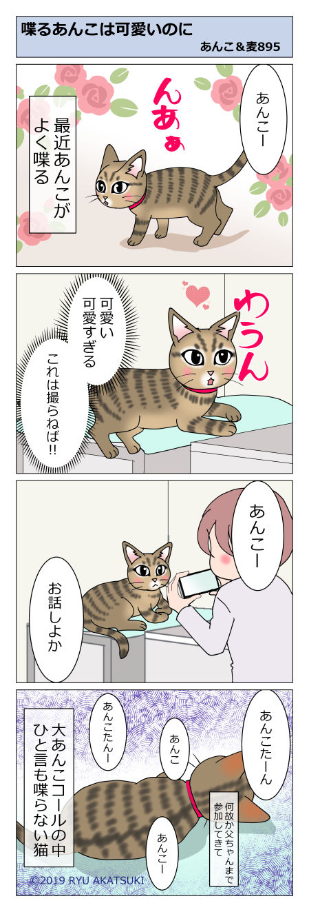 あんこ&麦STORY895