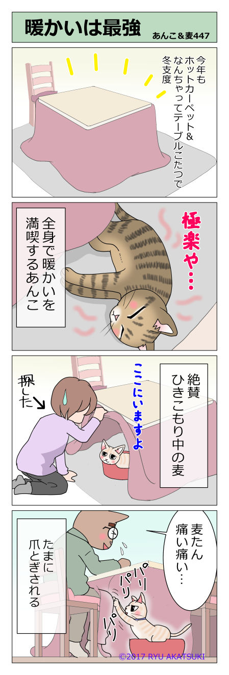 あんこ&麦STORY447