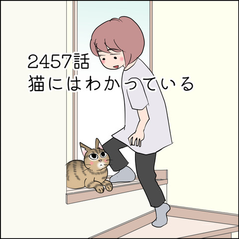あんこ＆麦STORY2457@