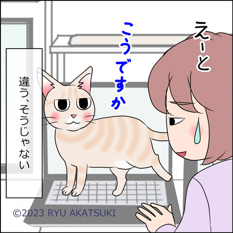 あんこ&麦STORY1822d