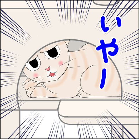 あんこ＆麦STORY2326c