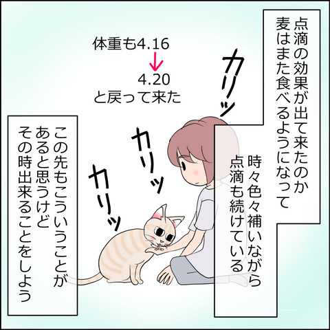 あんこ＆麦kenko129c