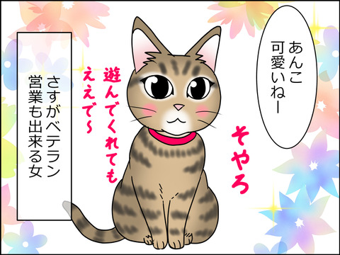 あんこ&麦STORY1520c