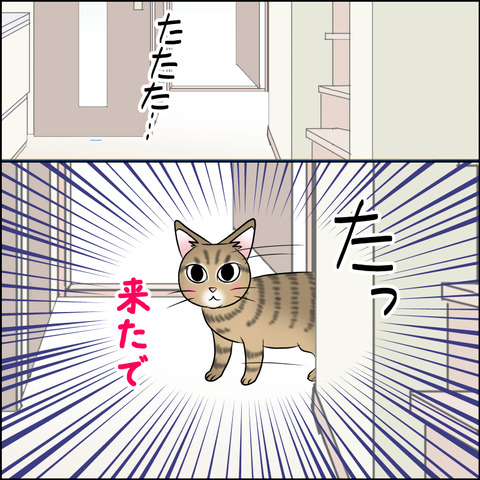 あんこ＆麦STORY1833c