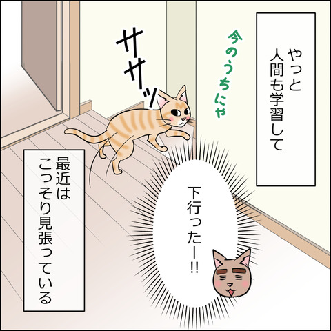 あんこ&麦STORY2489d